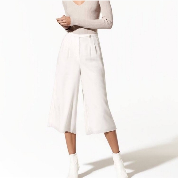 Aritzia Lazarus Pants - Picture 3 of 12